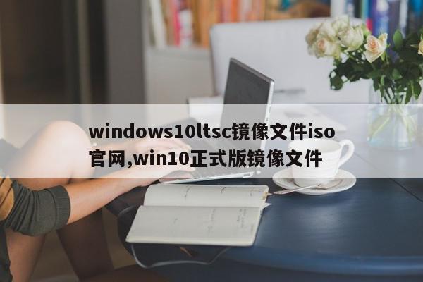 windows10ltsc镜像文件iso官网,win10正式版镜像文件