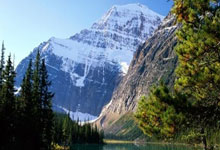 15年老旧电脑重装系统推荐哪个比较好,15年的电脑装w10还是w7